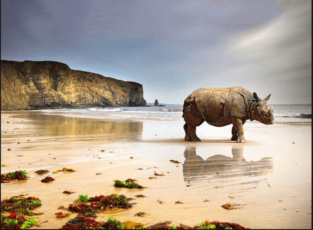 Screen Shot 2017-08-06 at 8.42.04 AM